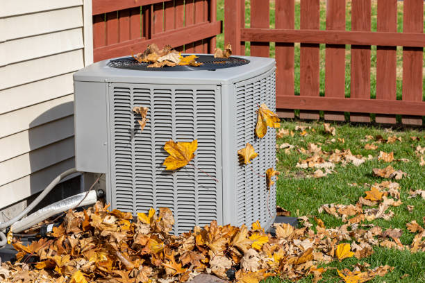 Best HVAC Air Duct Cleaning  in Le Roy, IL