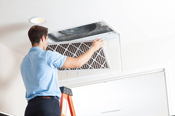Best Residential HVAC Services  in Le Roy, IL
